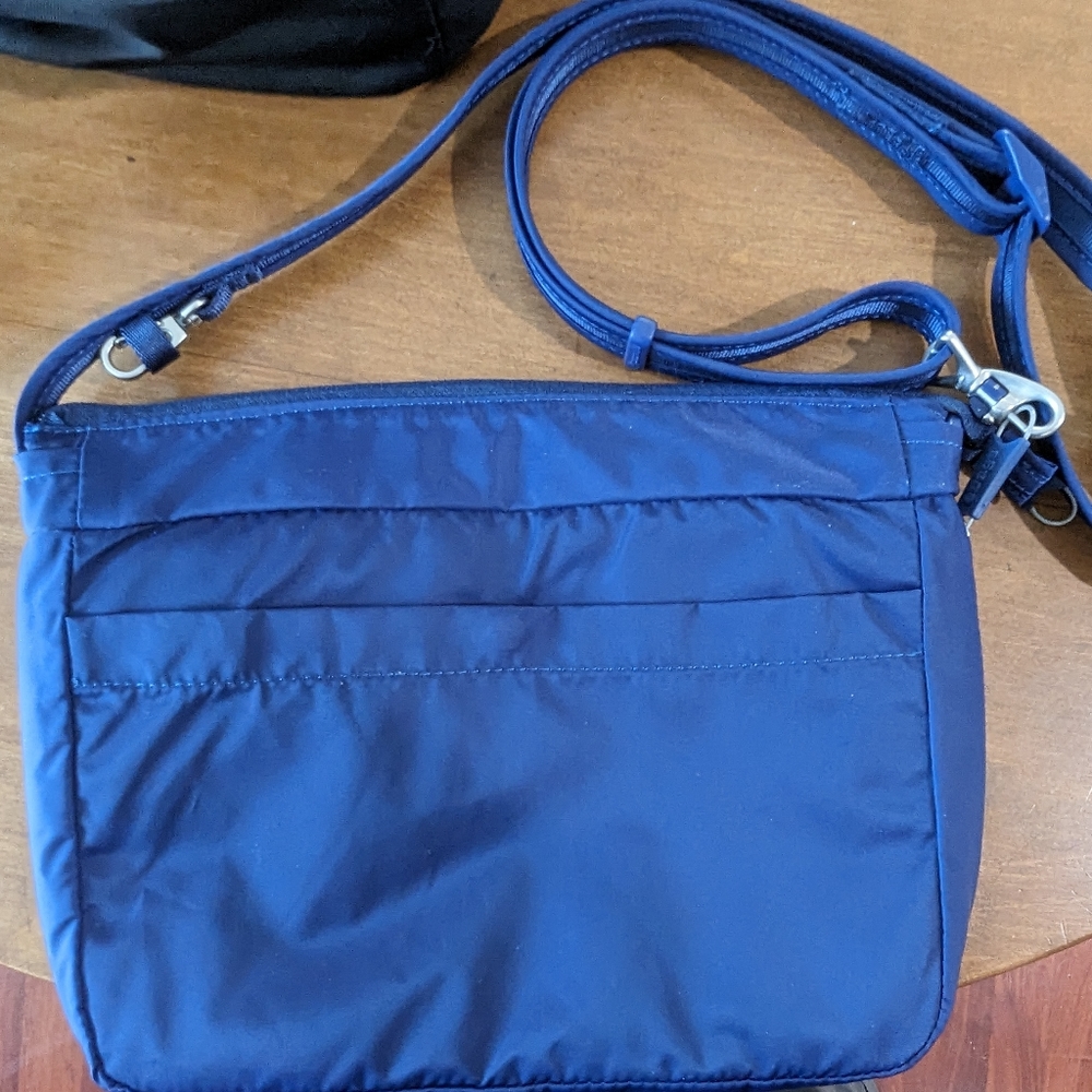 PacSafe bag by eBags